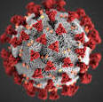 Coronavirus Image